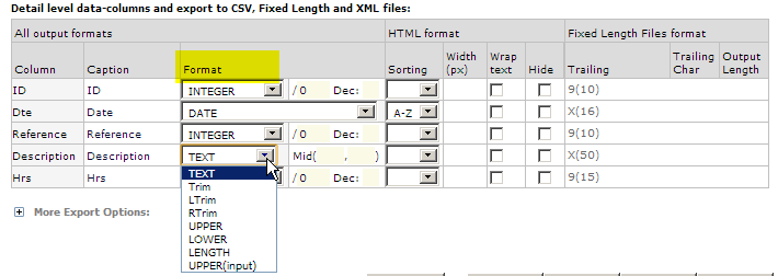 Detail_column_format_options.png